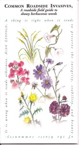 fharoadsideinvasivesherbs_sm fharoadsideinvasivesherbs_sm