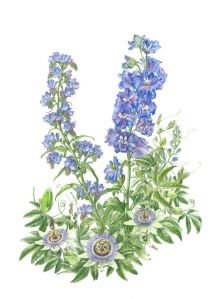 © 2009 by Brigitte E. M. Daniel