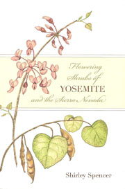 FloweringShrubsYosemite_sm