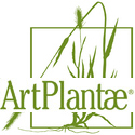artPlantaeWheat125_DW_FINAL