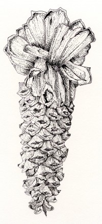 Pine Cone Long Leaf Pine Pen and Ink