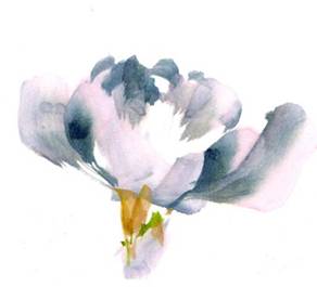 © Irene Sanderson. All rights reserved