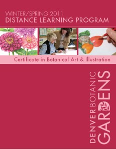 Distance Learning Catalog 2011