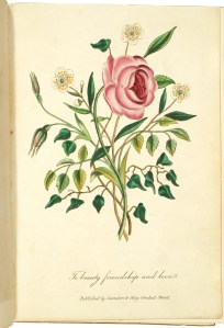 Burke Language of Flowers