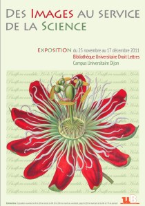 Scholars Study Images in the Service of Science | ArtPlantae Today