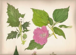 Register for the Artist Talk with Gordon Morrison