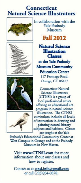 Download CTNSI Brochure