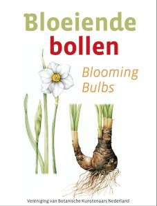 Visit the Dutch Society of Botanical Artists