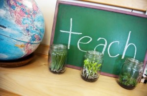 iStock_TeachingPlants_ExtraSmall copy