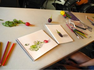 kmg_FirstColoredPencilLesson 2