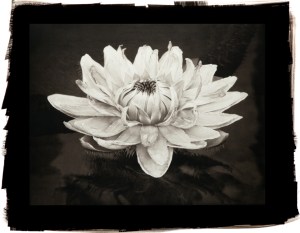 Queen Victoria,  © Cy DeCosse, Courtesy Cy DeCosse Photography