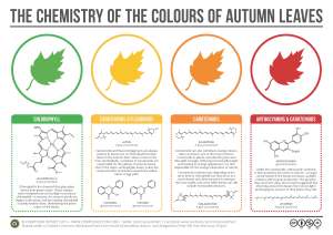 © 2014 by Andy Brunning. All rights reserved.