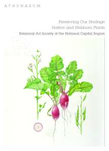 Postcard image courtesy BASNCR.