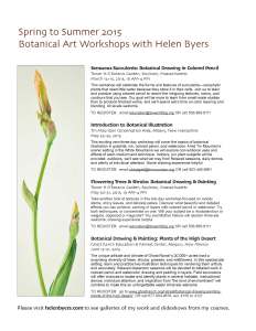 Helen Byers Botanical Art Workshops 2015