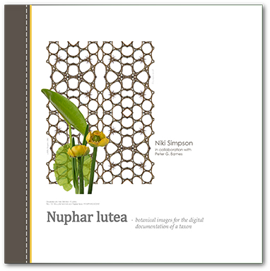 Botany and botanical art enter the digital workspace