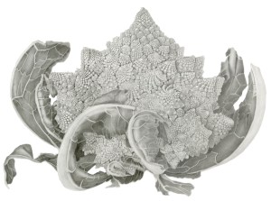 Cauliflower, graphite