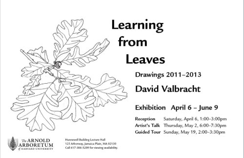 Go to Arnold Arboretum Art Shows