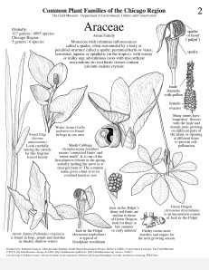 Image courtesy of Kathleen Garness. All rights reserved