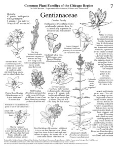 Image courtesy of Kathleen Garness. All rights reserved